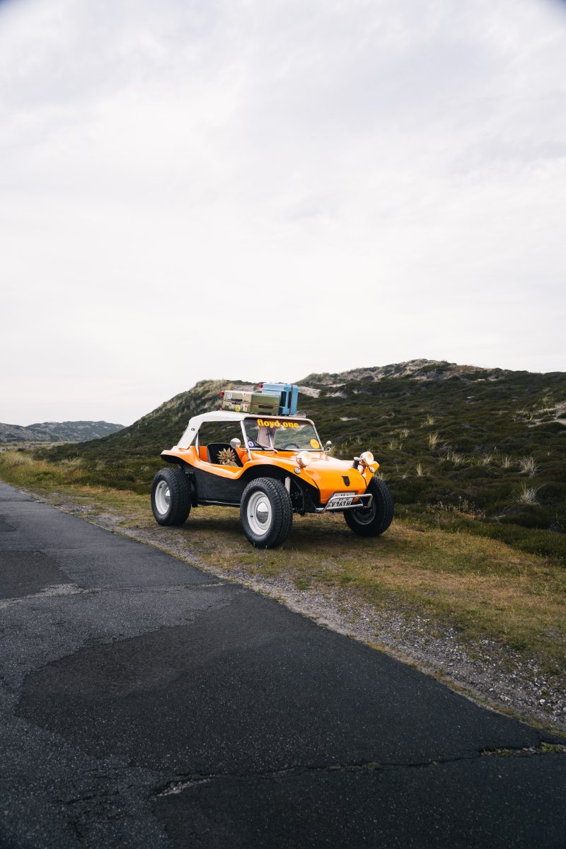 Meyers Manx
