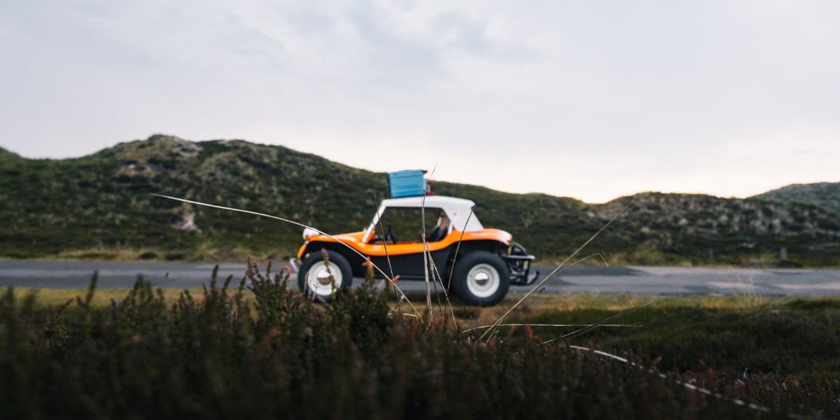 Meyers Manx