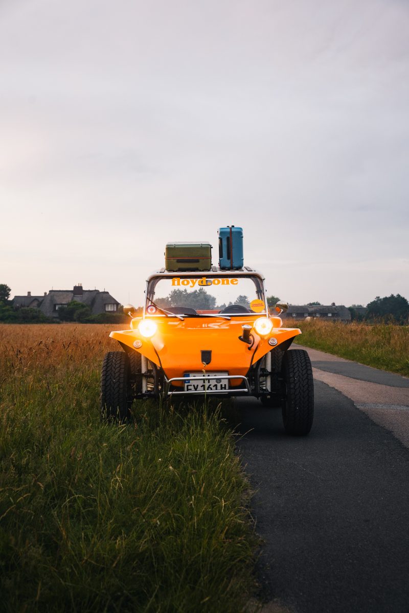 Meyers Manx