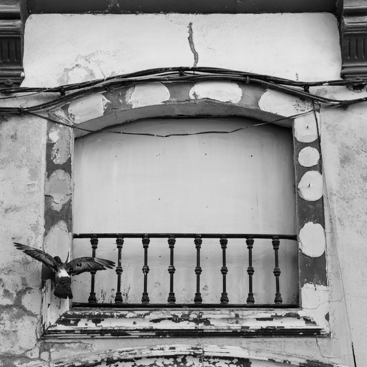 Street photography by Levin Müllerschön