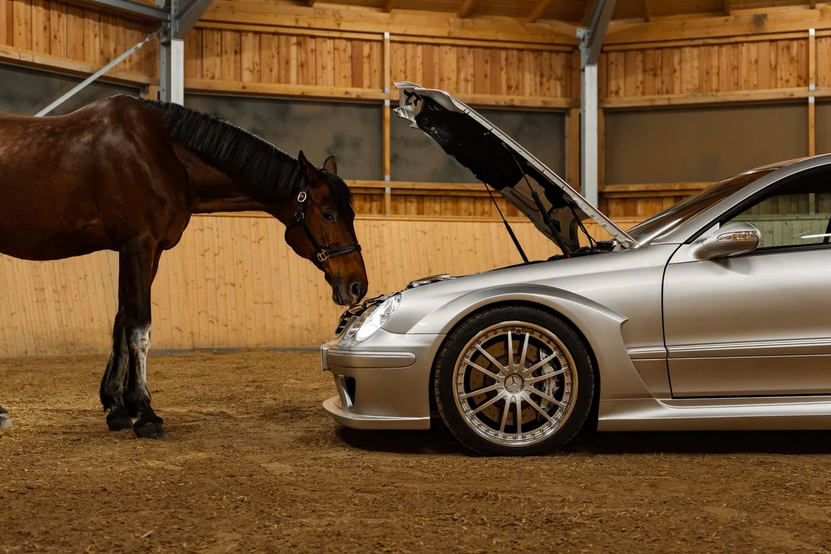 CLK DTM